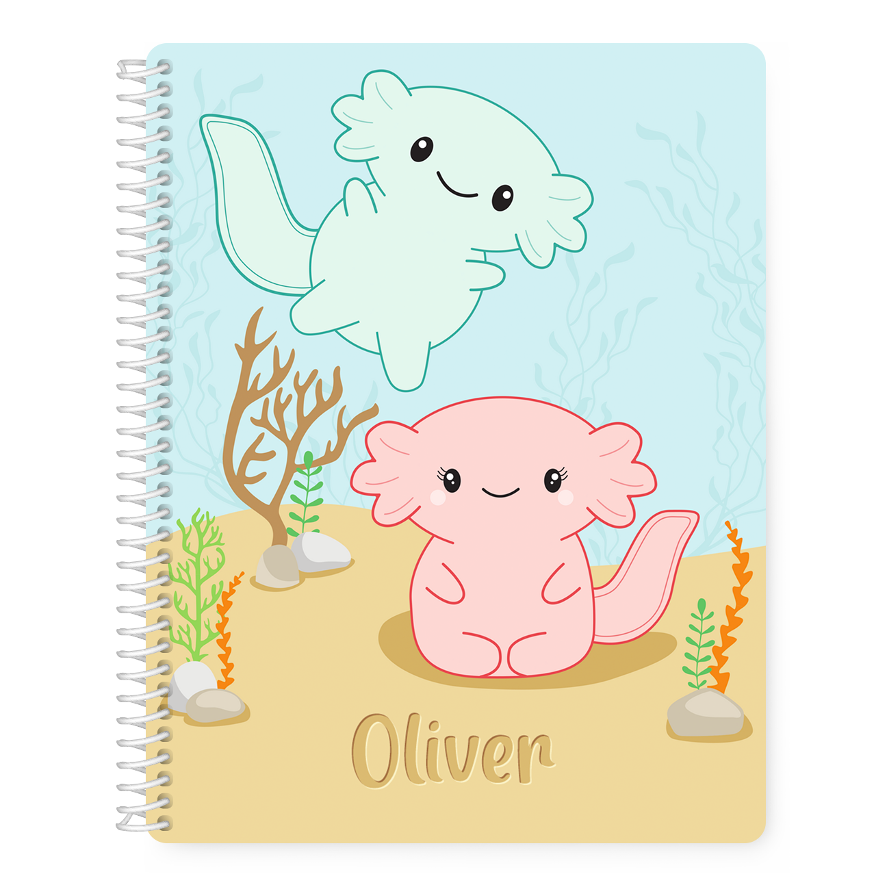 Personalized Axolotl Notebook